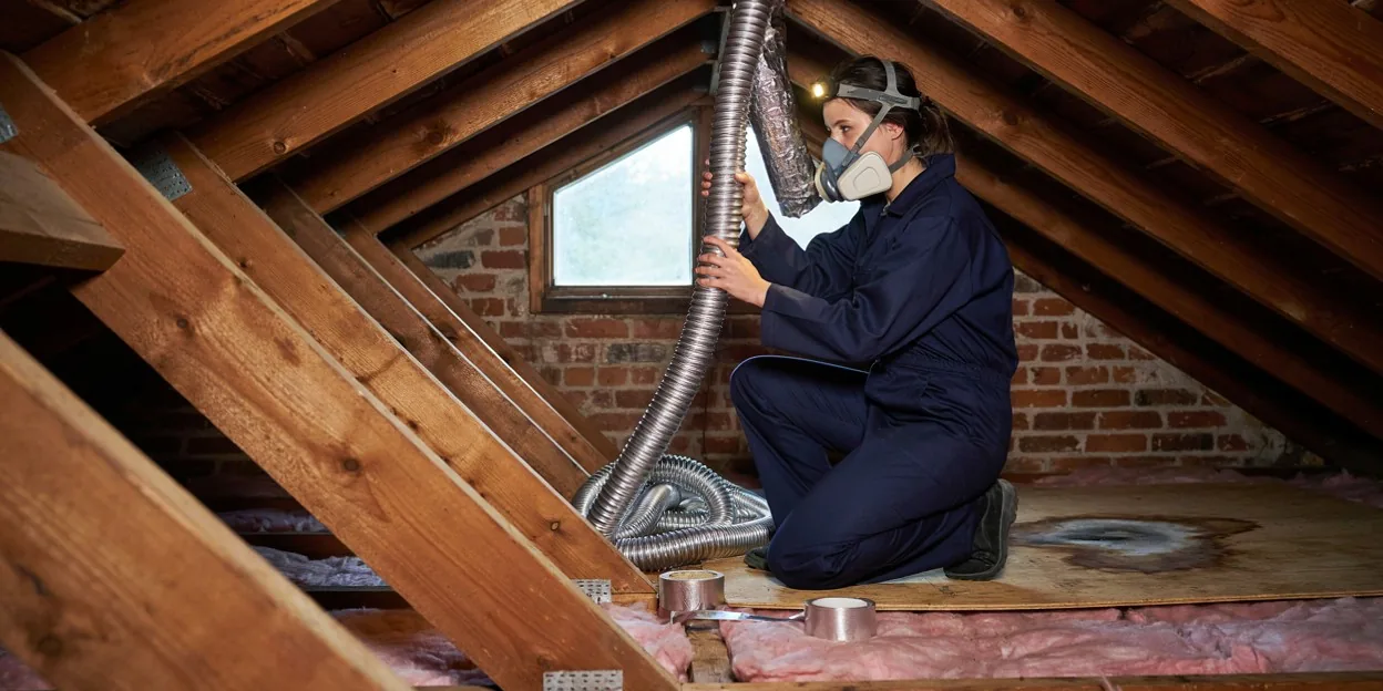Mold removal in Sun City Aliante, NV